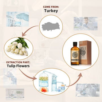 Tulip Essential Oil AKARZ Natural And Pure  ( 30ML 100ML )